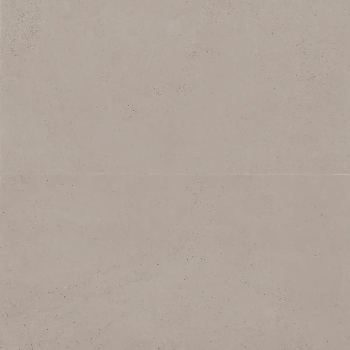 Thaddeus 24" x 48" Matte R11 Anti-Slip Rated Porcelain Tile in Taupe