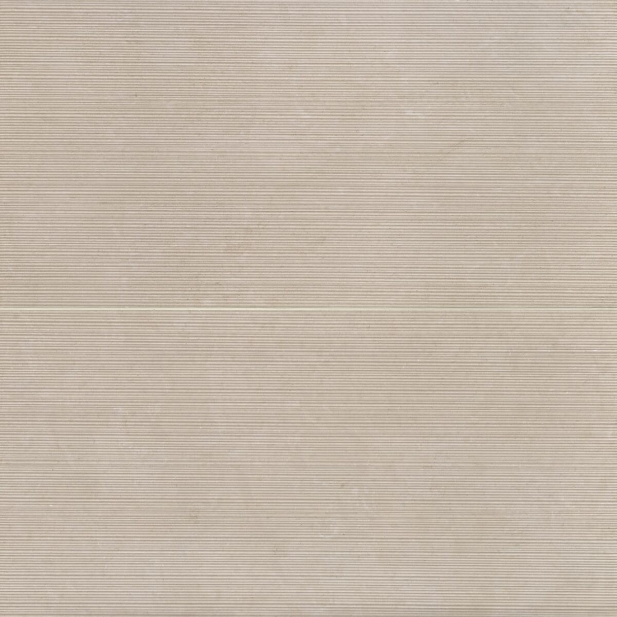 Thaddeus 24" x 48" Matte Porcelain Decorative Tile in Almond