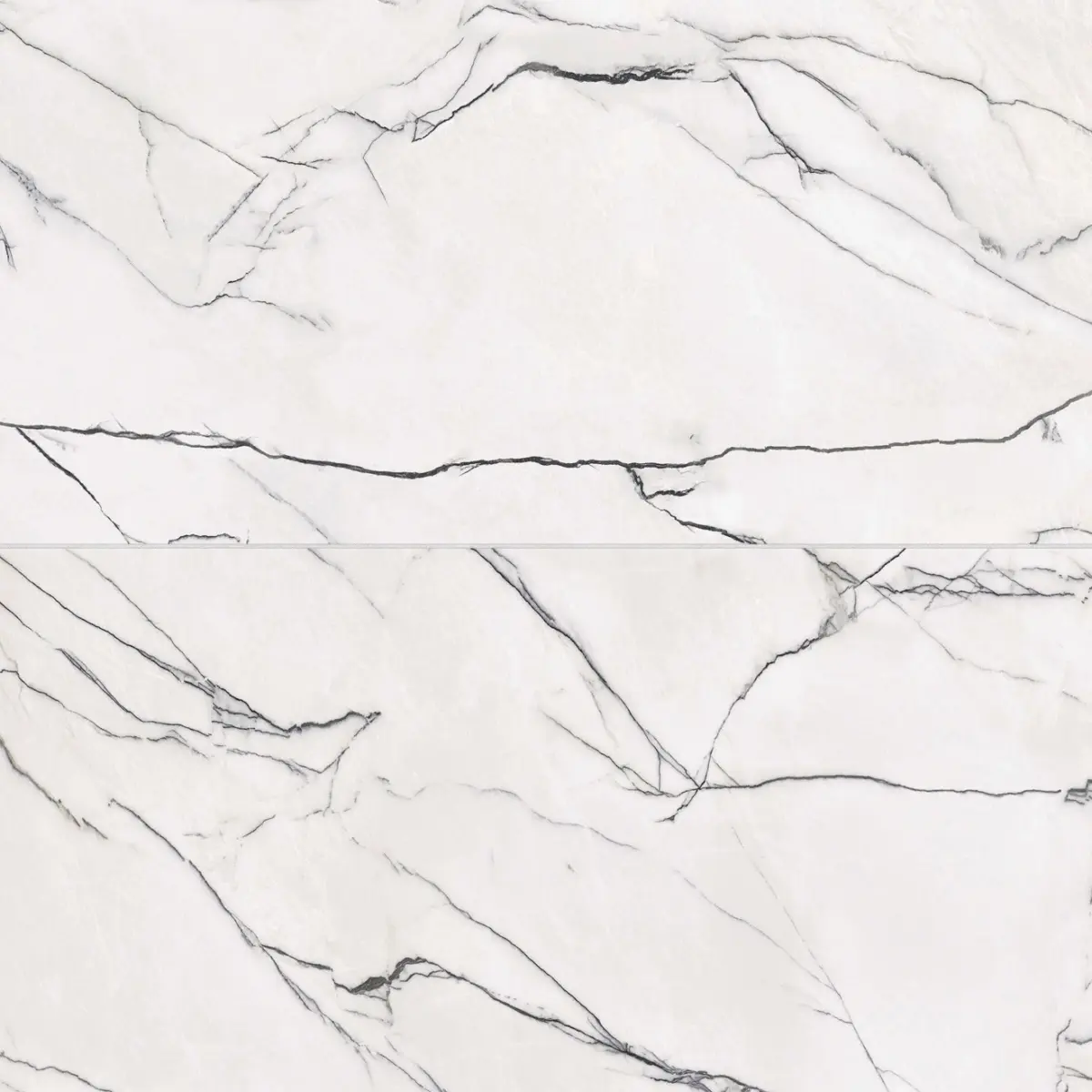 Gemma 24" x 48" Honed Porcelain Field Tile in Bianca
