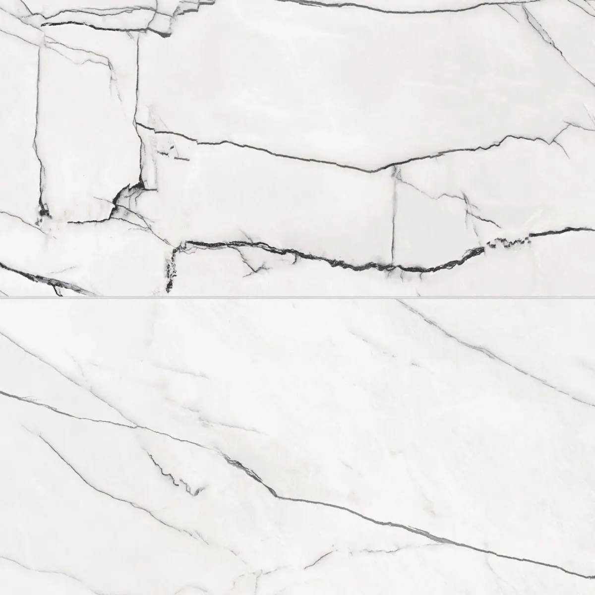 Gemma 24" x 48" Polished Porcelain Field Tile in Bianca