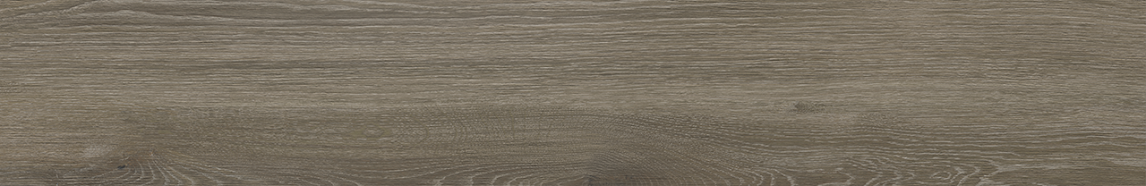 Abbey Vison 8X48R