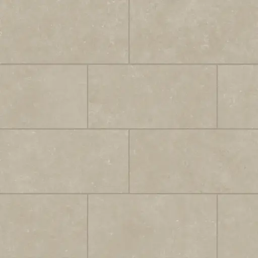 Bluerun 12" x 24" Matte Porcelain Field Tile in Historic Greige