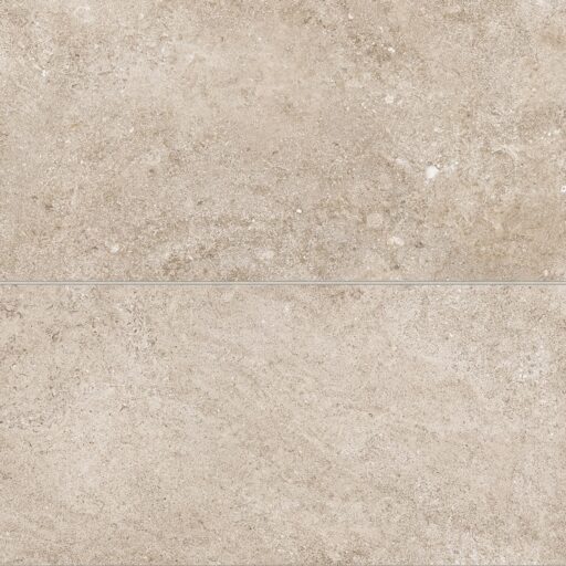 Ikonite 24" x 48" Honed Porcelain Field Tile in Walnut