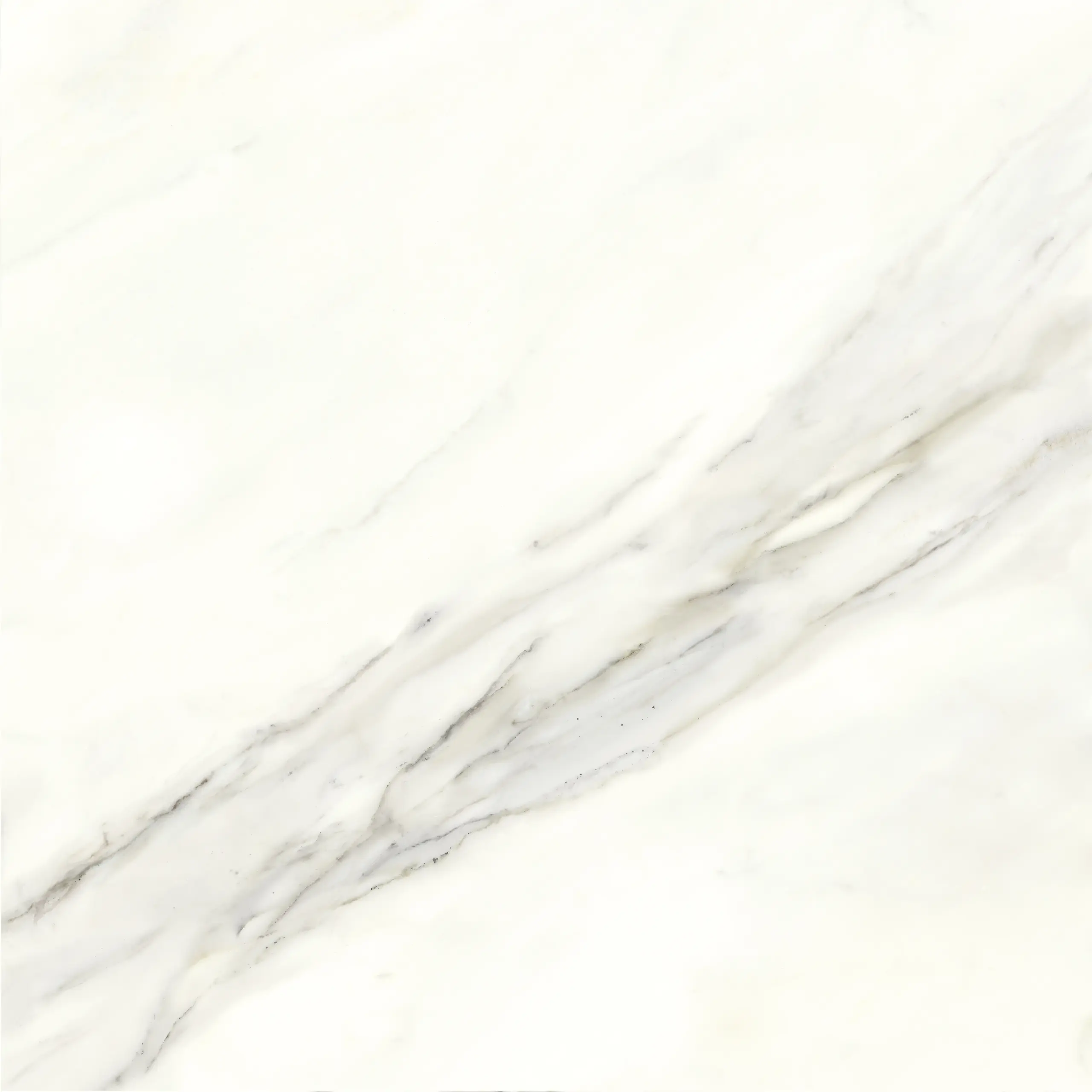 CALACATTA SUPERWHITE REC 24X24 CERAMIC WALL POLISHED PORCELAIN